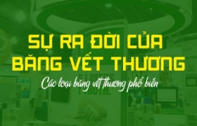 Công ty TNHH Dụng Cụ và Thiết Bị Y Khoa Vân Anh